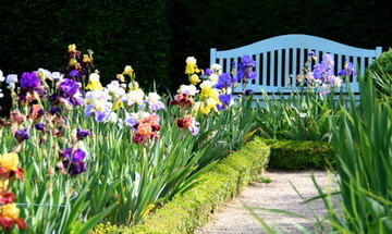 Comment réaliser une allée florale à Pessac ? Comment réaliser une allée florale à Pessac ?