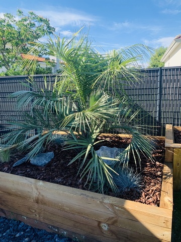 Aménagement de jardin pour cacher le vis-à-vis à Leognan