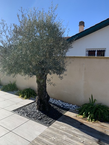 Création d'une jardinière en ardoise à Cestas